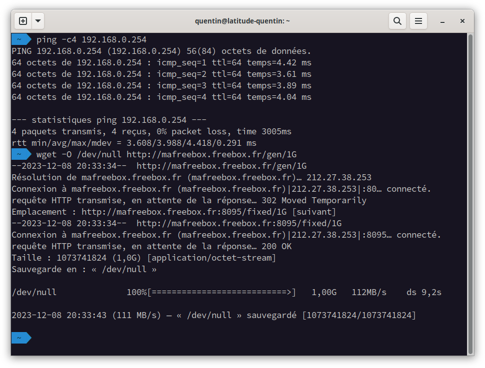 Capture d’écran montrant un terminal avec des retours des commandes ping et wget